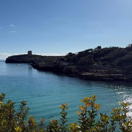 La Calma Espectacular Villa Con Jardin Y Piscina En Menorca S'Algar Eksteriør billede