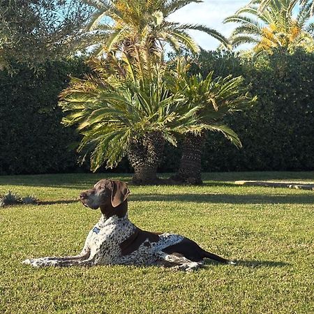 La Calma Espectacular Villa Con Jardin Y Piscina En Menorca S'Algar Eksteriør billede