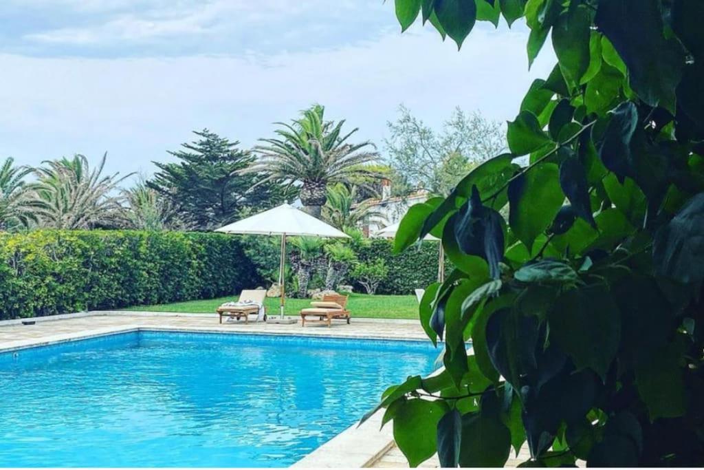 La Calma Espectacular Villa Con Jardin Y Piscina En Menorca S'Algar Eksteriør billede